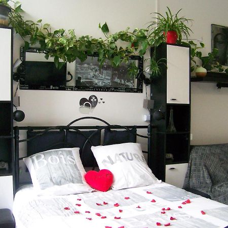 Charmant Studio Au Calme Tout Confort Dans Chateau Neo Gothique Proche Zenith Comet Orleans Parking Voiture Gratuit Wifi Haut Debit Rue Des Montees Eksteriør billede