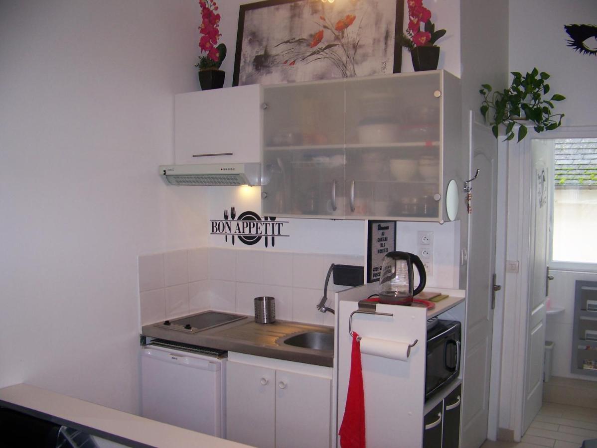 Charmant Studio Au Calme Tout Confort Dans Chateau Neo Gothique Proche Zenith Comet Orleans Parking Voiture Gratuit Wifi Haut Debit Rue Des Montees Eksteriør billede