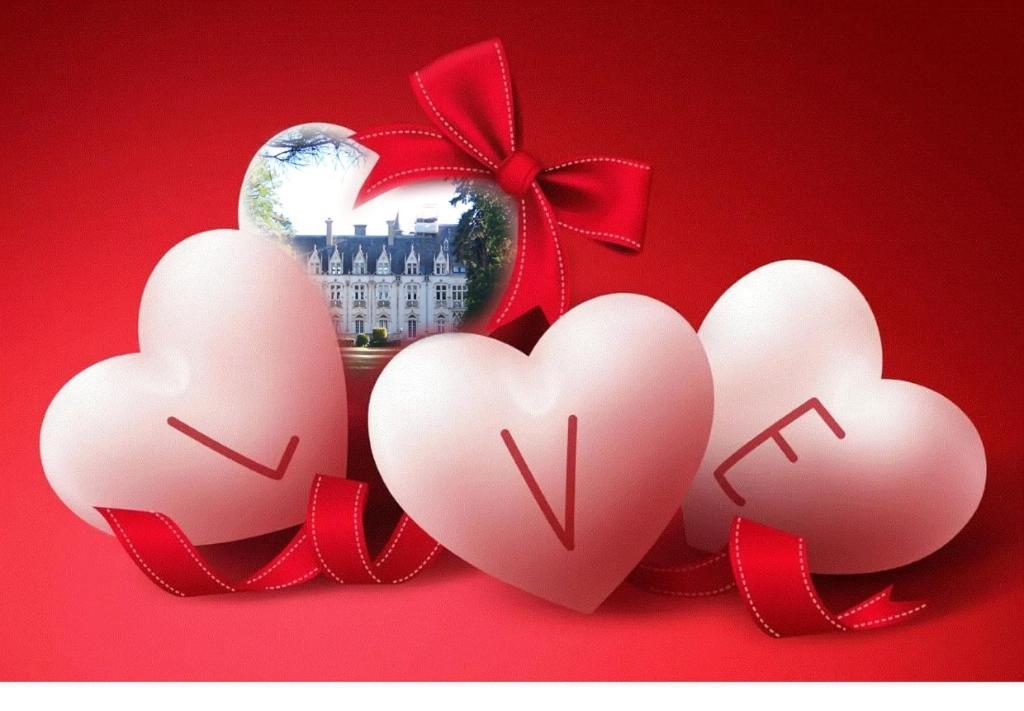 Charmant Studio Au Calme Tout Confort Dans Chateau Neo Gothique Proche Zenith Comet Orleans Parking Voiture Gratuit Wifi Haut Debit Rue Des Montees Eksteriør billede