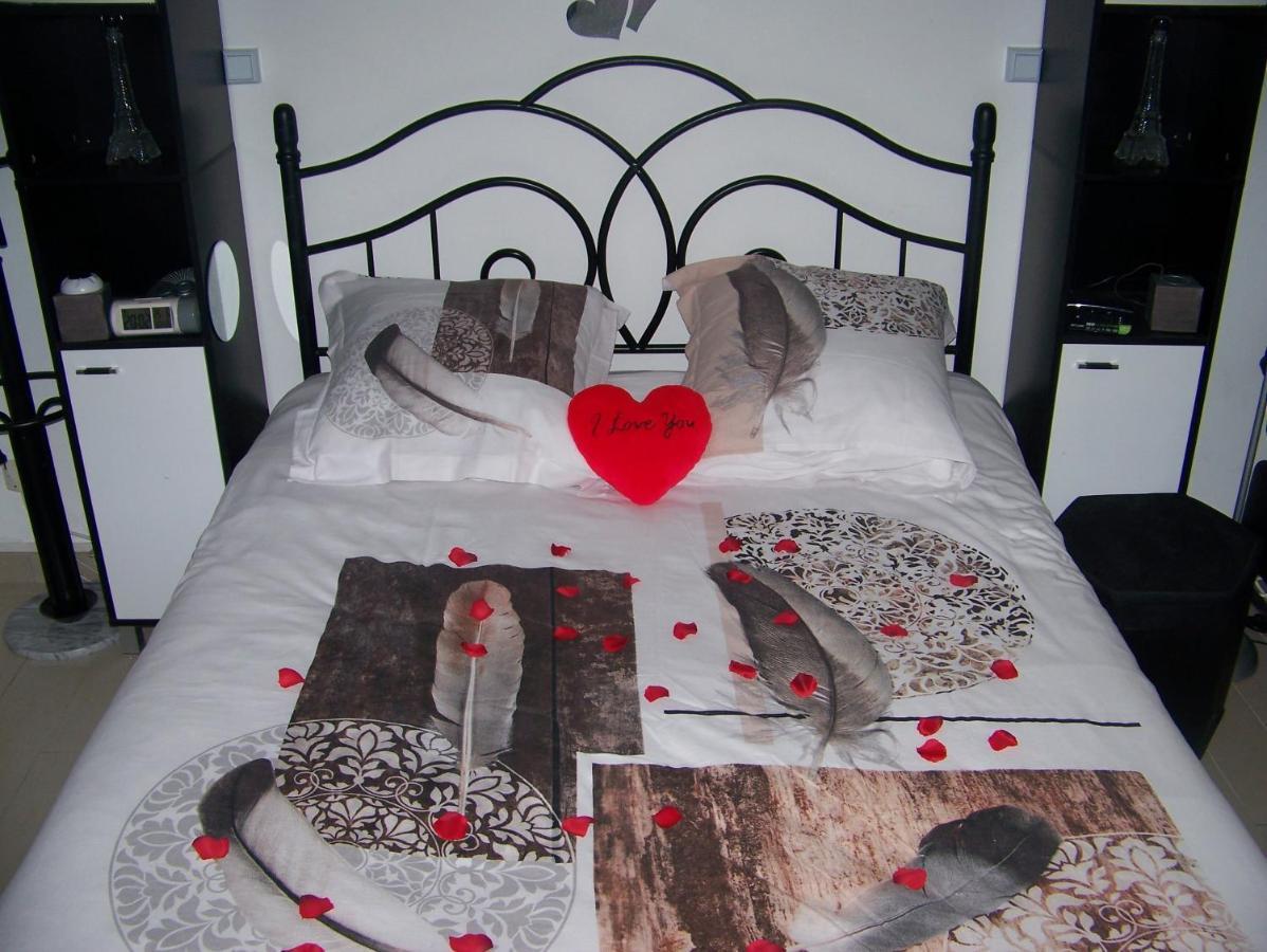 Charmant Studio Au Calme Tout Confort Dans Chateau Neo Gothique Proche Zenith Comet Orleans Parking Voiture Gratuit Wifi Haut Debit Rue Des Montees Eksteriør billede