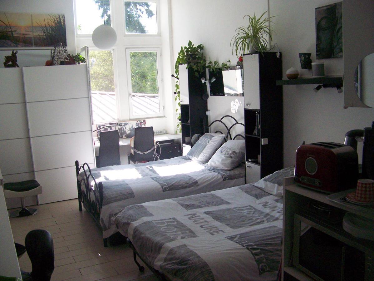 Charmant Studio Au Calme Tout Confort Dans Chateau Neo Gothique Proche Zenith Comet Orleans Parking Voiture Gratuit Wifi Haut Debit Rue Des Montees Eksteriør billede