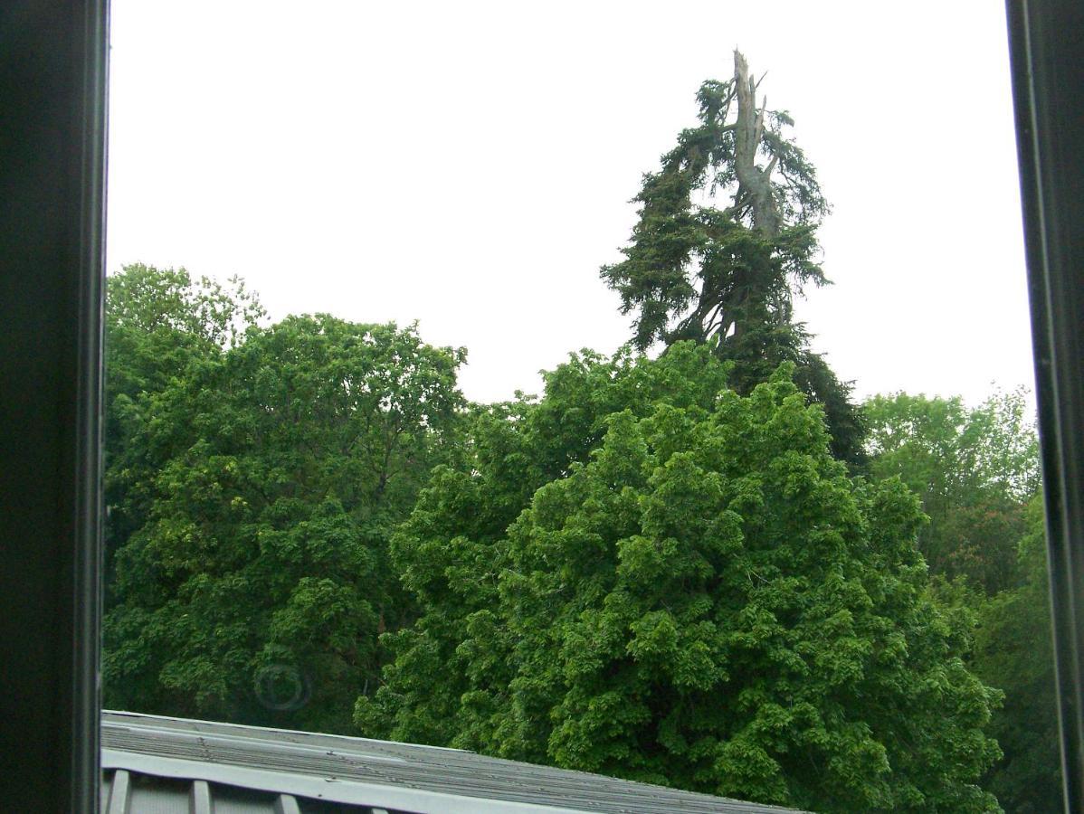 Charmant Studio Au Calme Tout Confort Dans Chateau Neo Gothique Proche Zenith Comet Orleans Parking Voiture Gratuit Wifi Haut Debit Rue Des Montees Eksteriør billede