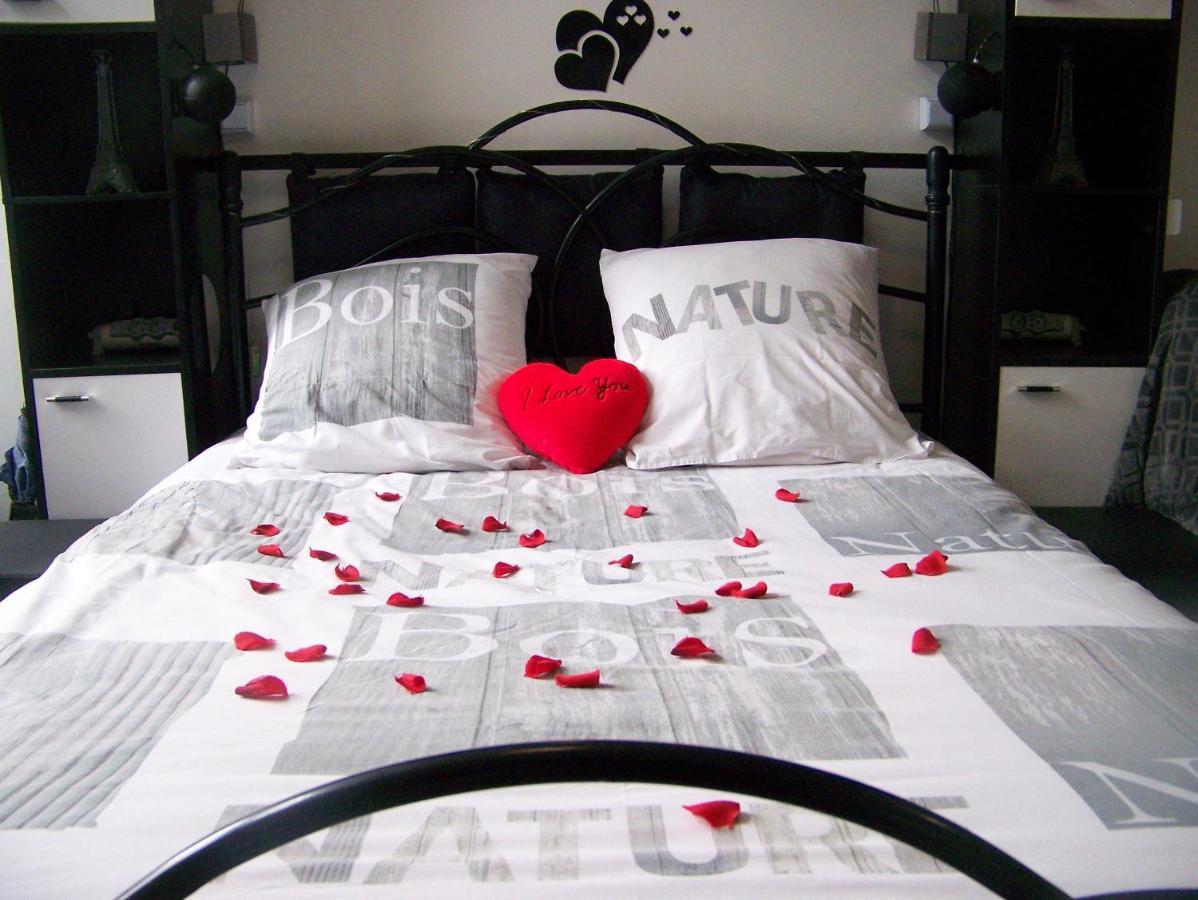 Charmant Studio Au Calme Tout Confort Dans Chateau Neo Gothique Proche Zenith Comet Orleans Parking Voiture Gratuit Wifi Haut Debit Rue Des Montees Eksteriør billede