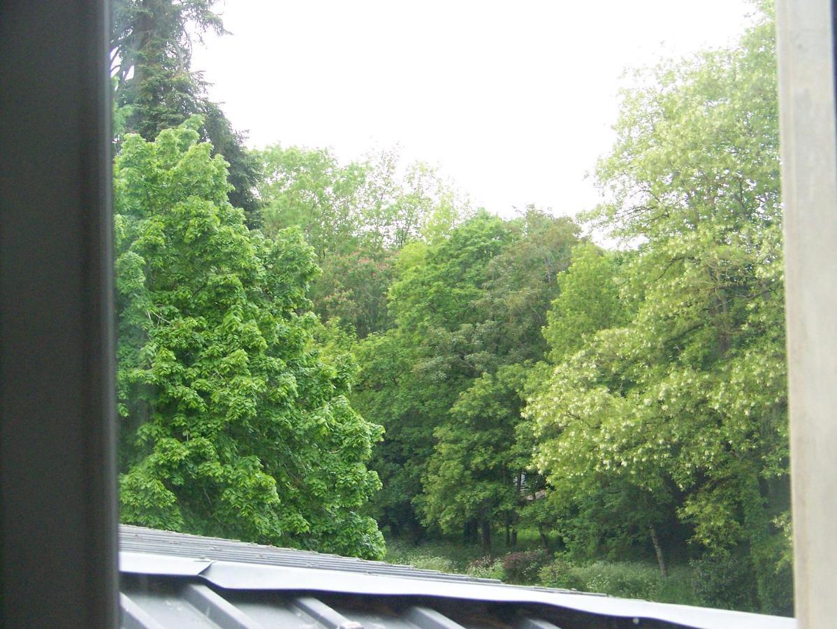 Charmant Studio Au Calme Tout Confort Dans Chateau Neo Gothique Proche Zenith Comet Orleans Parking Voiture Gratuit Wifi Haut Debit Rue Des Montees Eksteriør billede